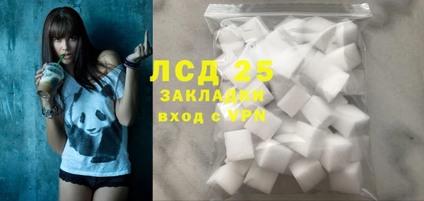 PSILOCYBIN Навашино