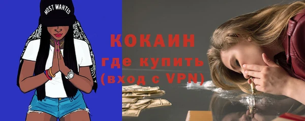 PSILOCYBIN Навашино