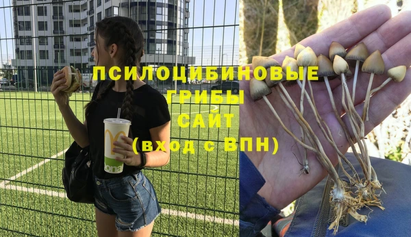 бошки Наволоки