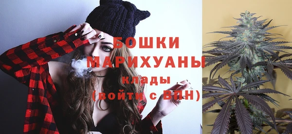 PSILOCYBIN Навашино