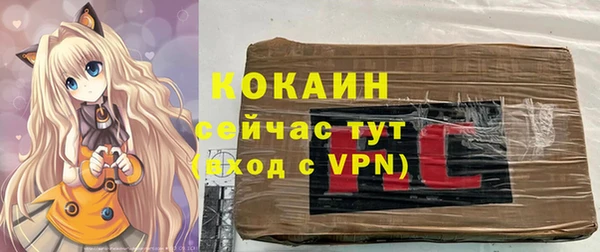 PSILOCYBIN Навашино