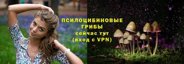 2c-b Нефтегорск