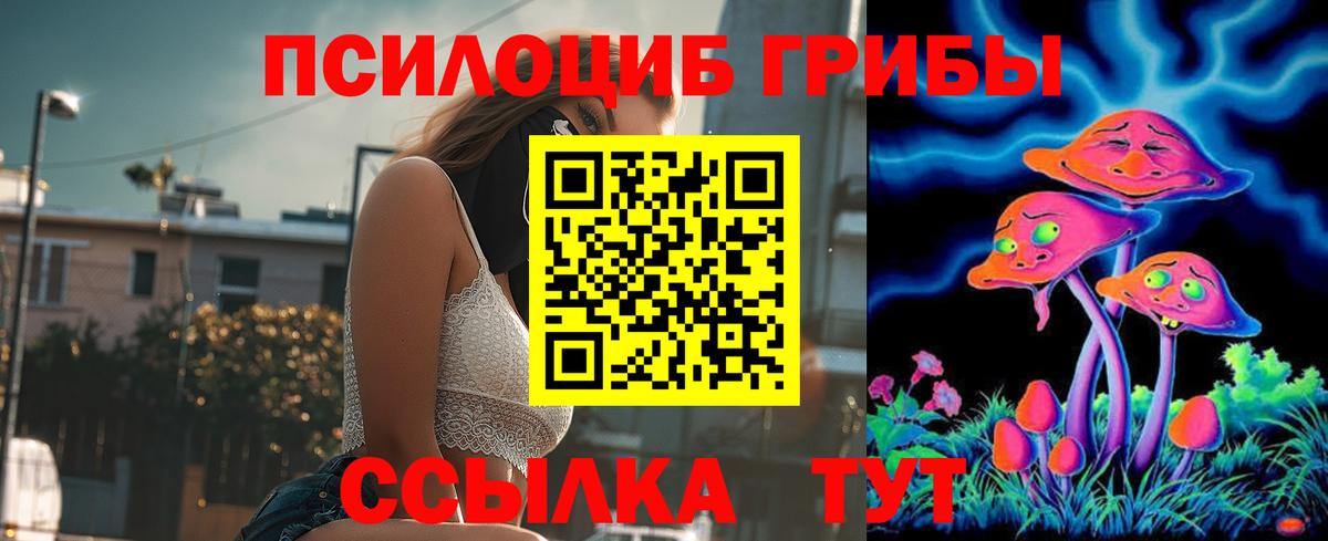Тверь  Галлюциногенные грибы Magic Shrooms  Вход с VPN 